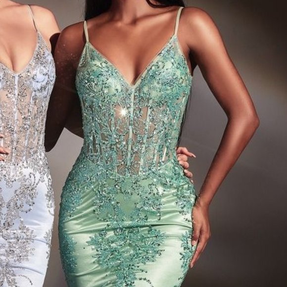 NEW LONG OFF SHOULDER SLEEVELESS EMBROIDERED SEQUIN GOWN WITH ZIP BACK CD J810